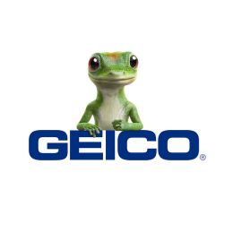 GEICO Auto Insurance